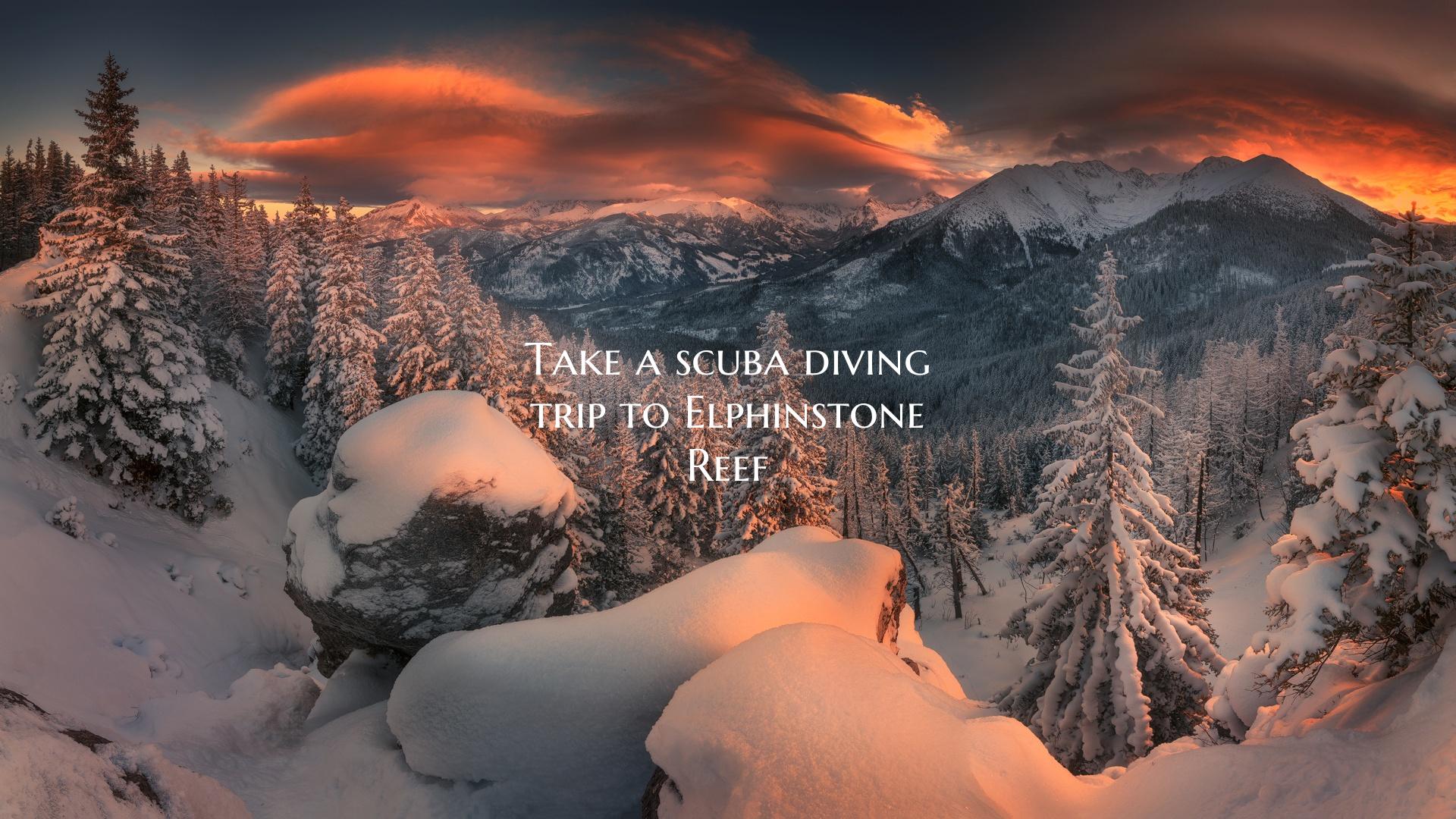 Take a scuba diving trip to Elphinstone Reef